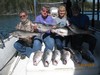 (04/28/2018) - Nice Striped Bass